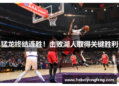 猛龙终结连胜！击败湖人取得关键胜利